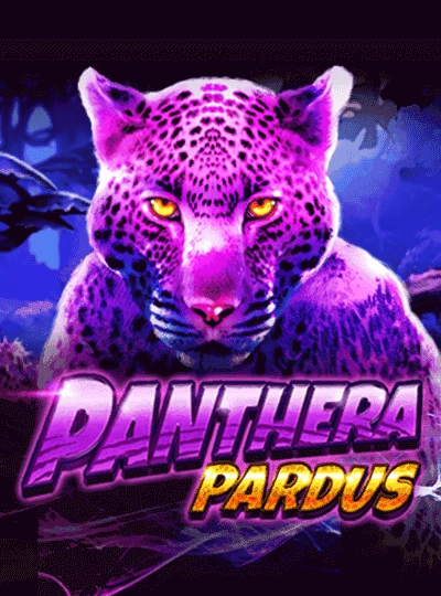 lv55